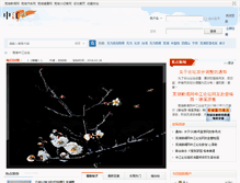 Tablet Screenshot of bbs.wuhunews.cn